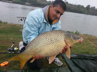 Moara Vlasiei 2 12 - 12 oct.